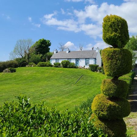 New Listing - Ladybird Cottage - Donegal - Wild Atlantic Way Donegal Town Eksteriør bilde