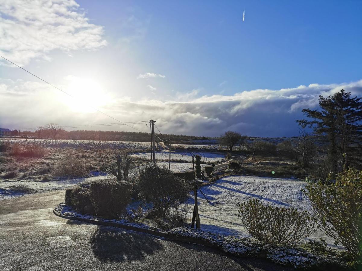 New Listing - Ladybird Cottage - Donegal - Wild Atlantic Way Donegal Town Eksteriør bilde
