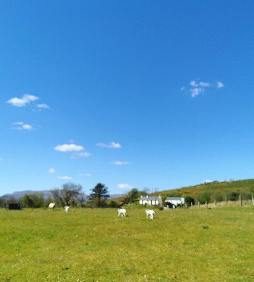 New Listing - Ladybird Cottage - Donegal - Wild Atlantic Way Donegal Town Eksteriør bilde