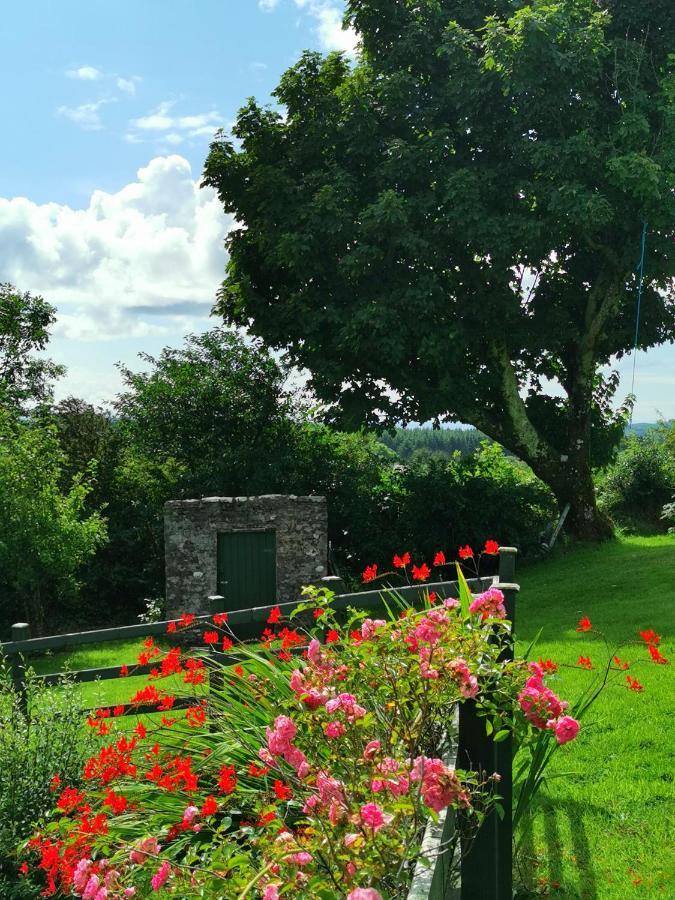 New Listing - Ladybird Cottage - Donegal - Wild Atlantic Way Donegal Town Eksteriør bilde