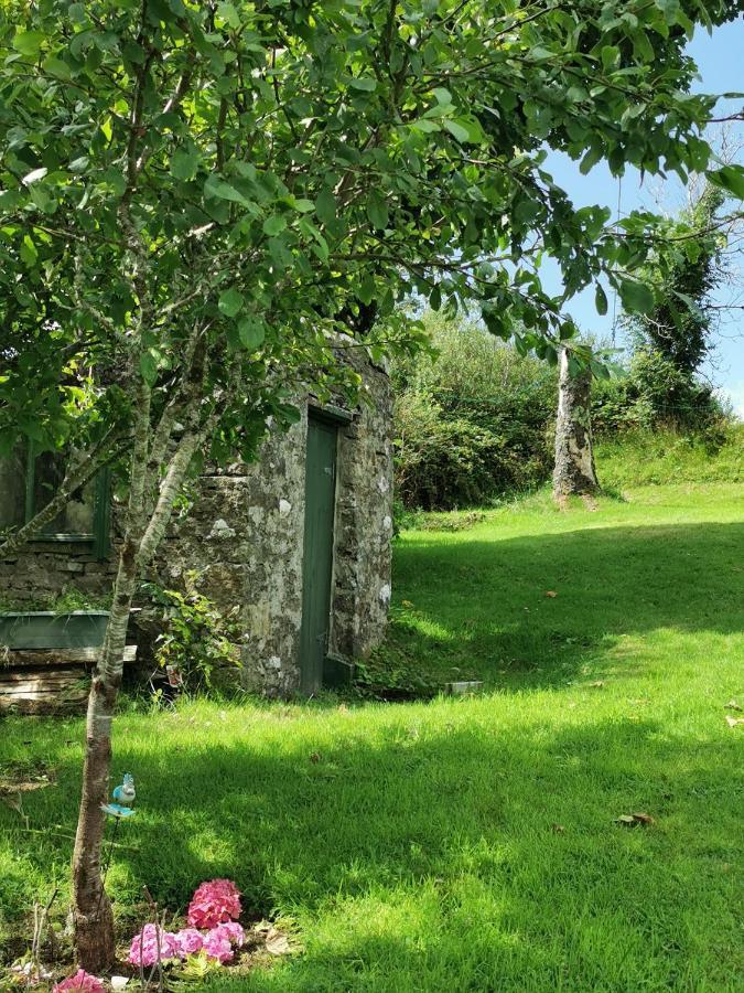 New Listing - Ladybird Cottage - Donegal - Wild Atlantic Way Donegal Town Eksteriør bilde