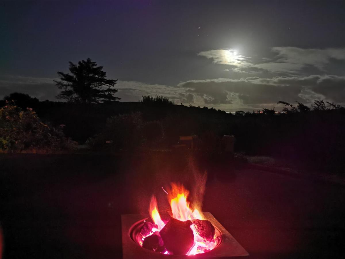 New Listing - Ladybird Cottage - Donegal - Wild Atlantic Way Donegal Town Eksteriør bilde