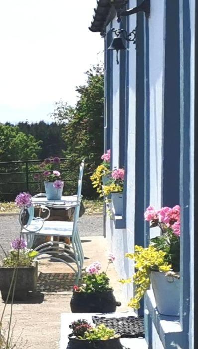 New Listing - Ladybird Cottage - Donegal - Wild Atlantic Way Donegal Town Eksteriør bilde