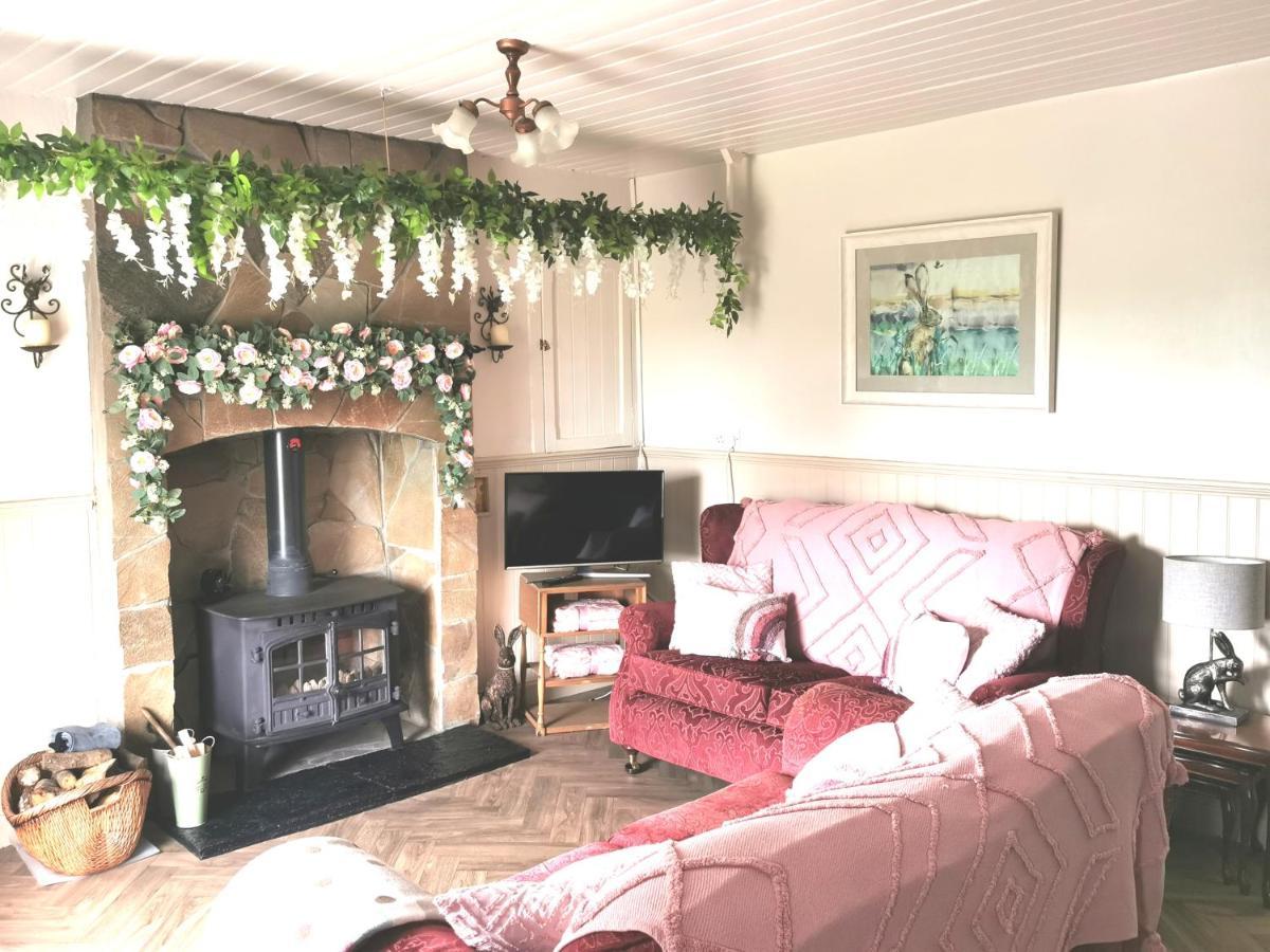 New Listing - Ladybird Cottage - Donegal - Wild Atlantic Way Donegal Town Eksteriør bilde