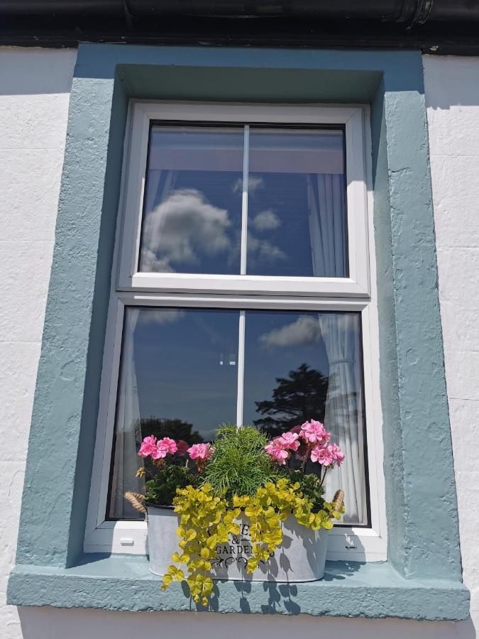 New Listing - Ladybird Cottage - Donegal - Wild Atlantic Way Donegal Town Eksteriør bilde
